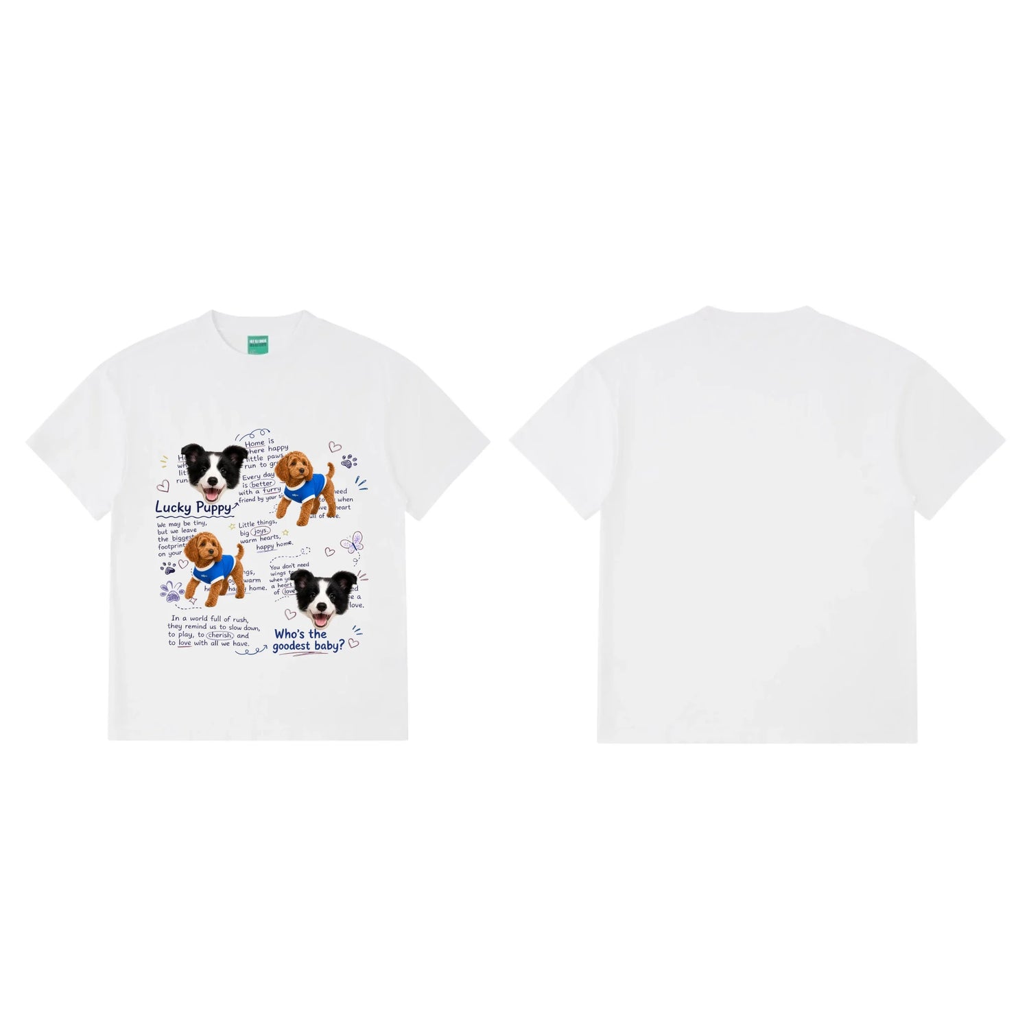 White 正反两面